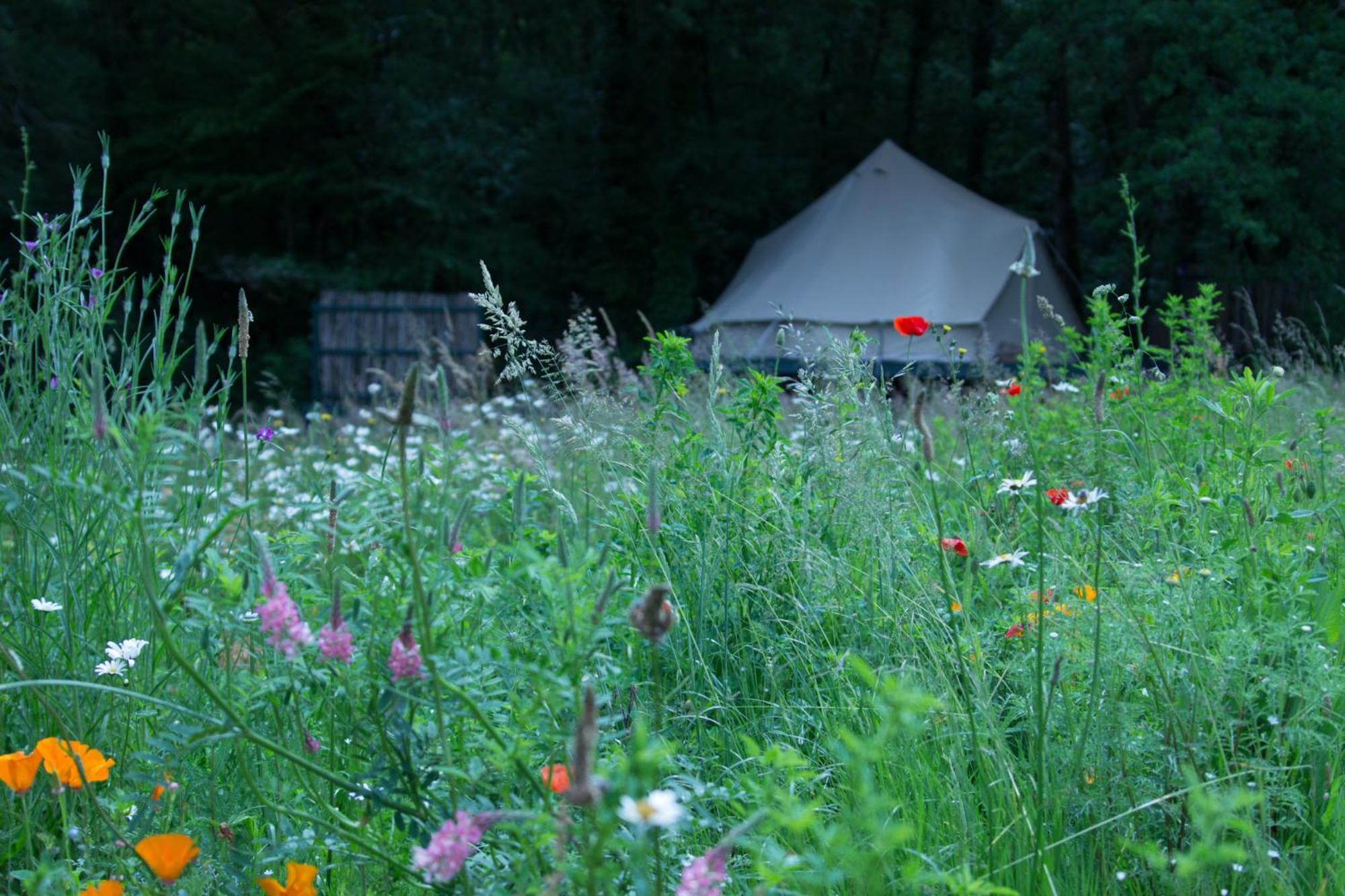 Belair Le Camping Champagnac-de-Belair Екстер'єр фото